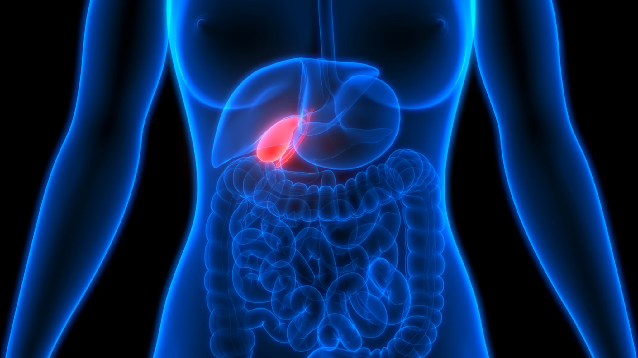 Gallbladder And Kidney Location