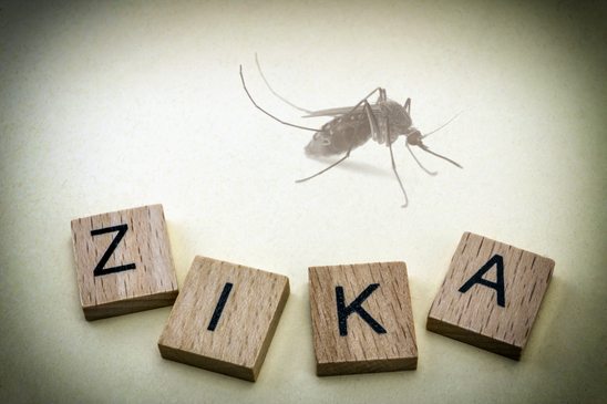 Zika Virus: What You Need to Know - Florida Medical Clinic