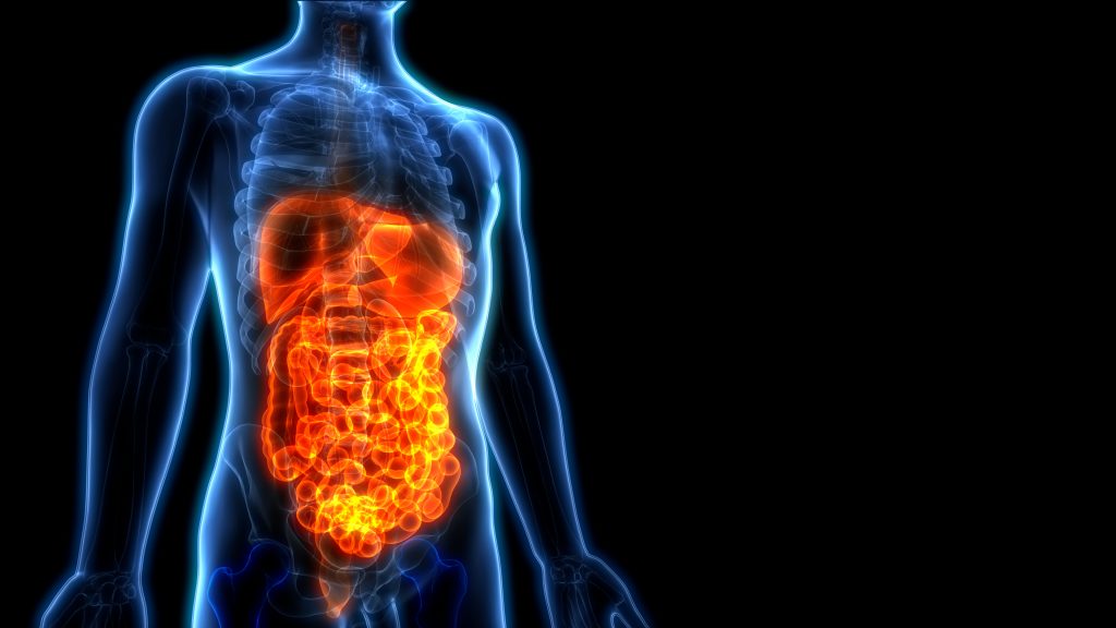 Types of Hernias Florida Medical Clinic