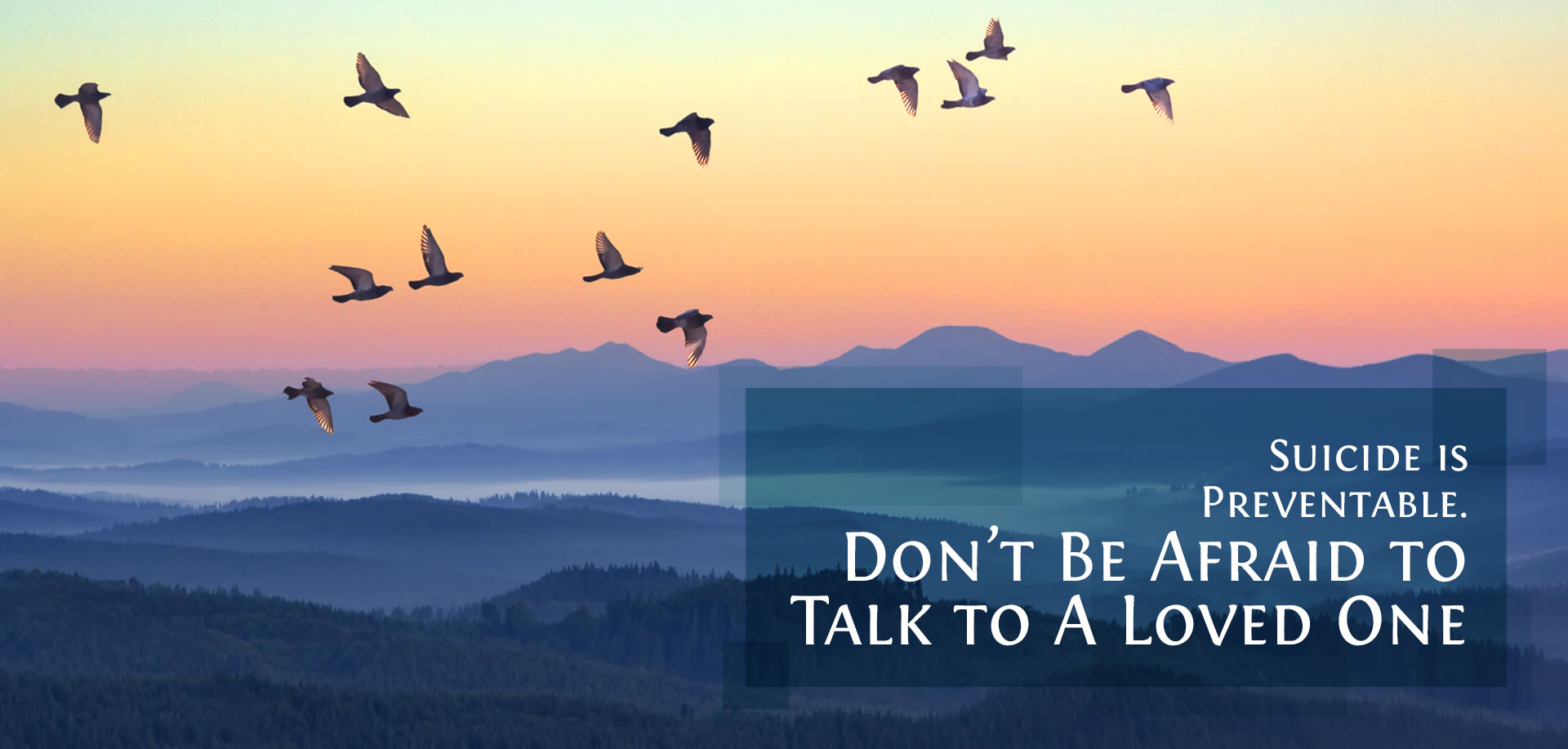 birds flying with text Suicide is Preventable. Don’t Be Afraid to Talk to A Loved One