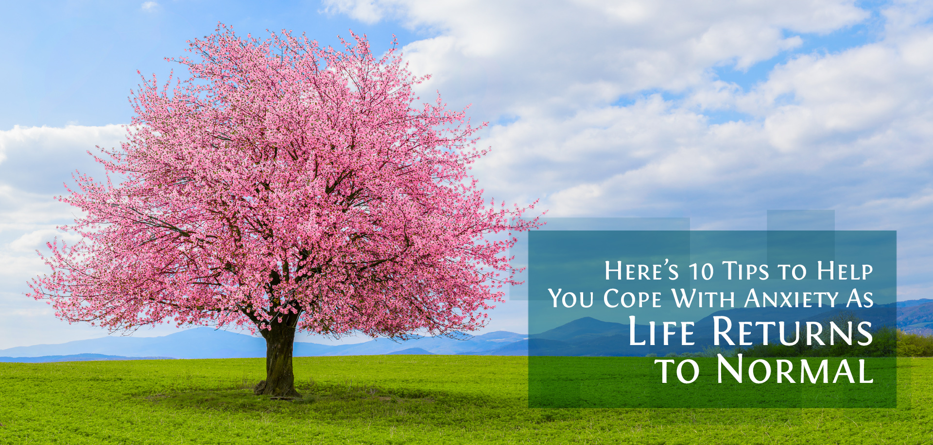 Pink leaved tree with text Here’s 10 Tips to Help You Cope With Anxiety As Life Returns to Normal