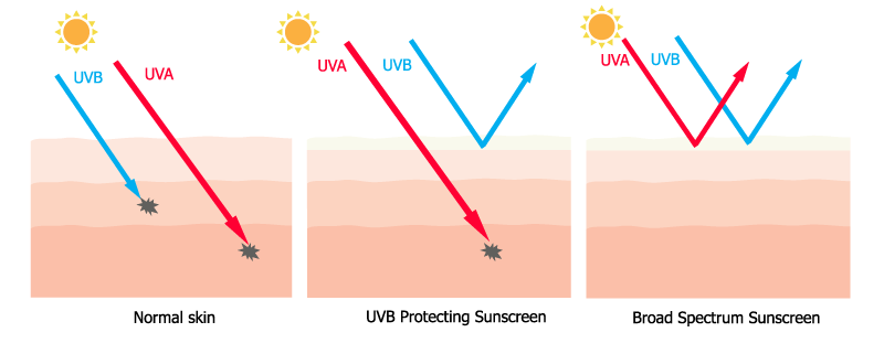 An infographic showing the effect of sunscreen in blocking UV rays