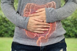 Digestive system image where irritable bowel syndrome takes place