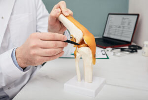 orthopedic doctor points to meniscus model with a pen to explain an injury