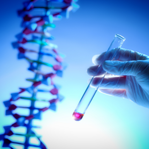 Someone wearing a latex glove holds a test tube. In the background, there is a model of a double helix of DNA.